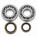 WRP Crankshaft Bearing & Seal Kit – Beta Evo 4T 250-300