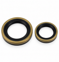 WRP Crankshaft Seal Kit – Beta Evo 4T 250-300 2009-2021